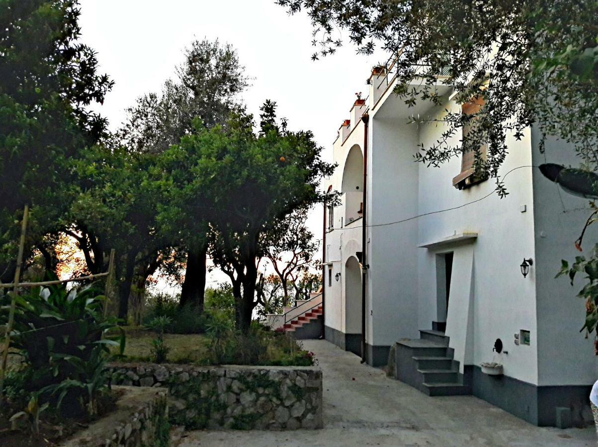 Villa Beatrice Sorrent Exterior foto